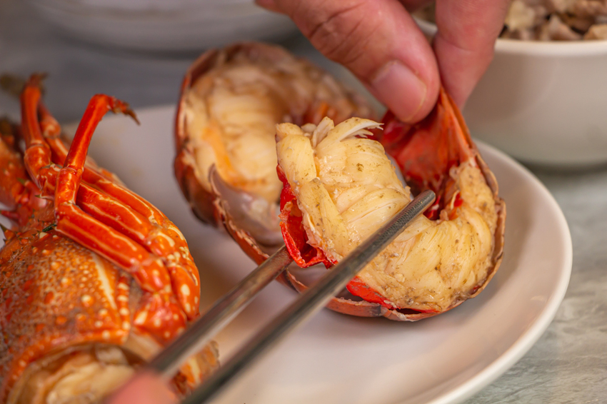 台中大里,養鍋Yang Guo石頭涮涮鍋大里店,寵物友善餐廳,外帶肉肉鍋物享九折。 - 微笑Joe幸運