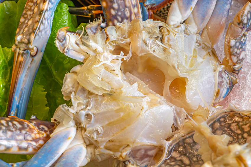 台中大里,養鍋Yang Guo石頭涮涮鍋大里店,寵物友善餐廳,外帶肉肉鍋物享九折。 - 微笑Joe幸運