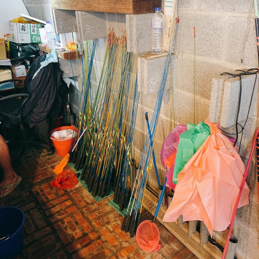 蘭楊蟹莊 蘭楊船菜｜宜蘭頭城｜親子釣蝦首選   整池滿滿讓小孩一釣上手