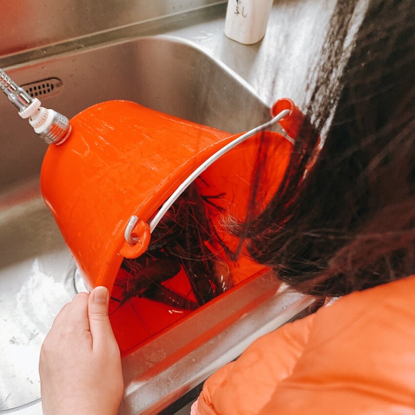 蘭楊蟹莊 蘭楊船菜｜宜蘭頭城｜親子釣蝦首選   整池滿滿讓小孩一釣上手