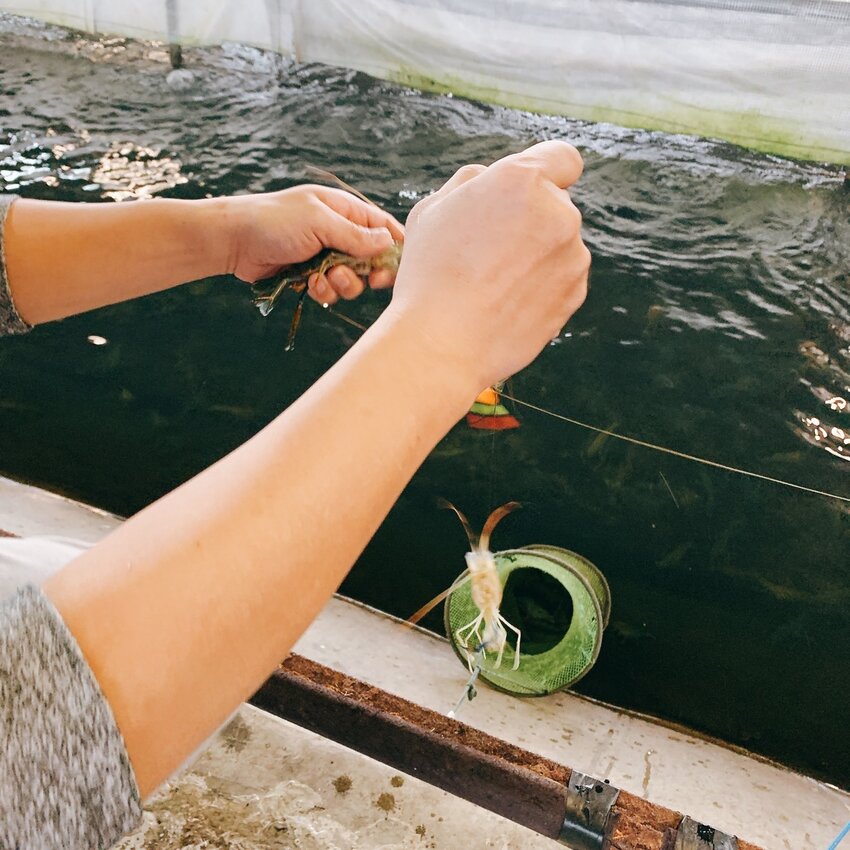 蘭楊蟹莊 蘭楊船菜｜宜蘭頭城｜親子釣蝦首選   整池滿滿讓小孩一釣上手