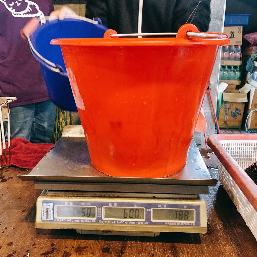 蘭楊蟹莊 蘭楊船菜｜宜蘭頭城｜親子釣蝦首選   整池滿滿讓小孩一釣上手