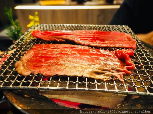 2019-11-04 19.14.16.jpg