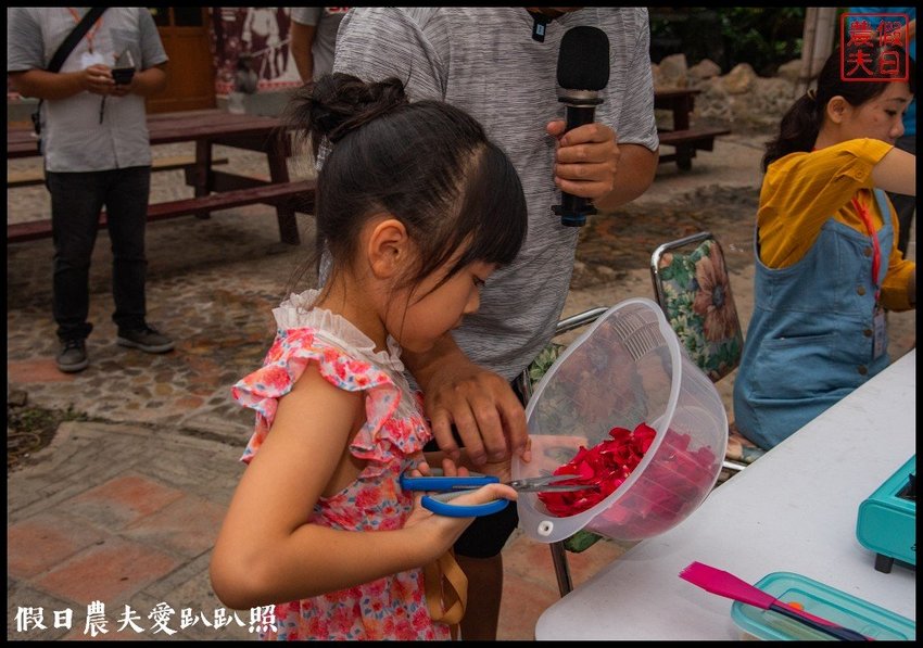 臺灣花卉之美|陽昇園藝×玫開四度食用玫瑰園×臺中區農業改良場 | 假日農夫愛趴趴照