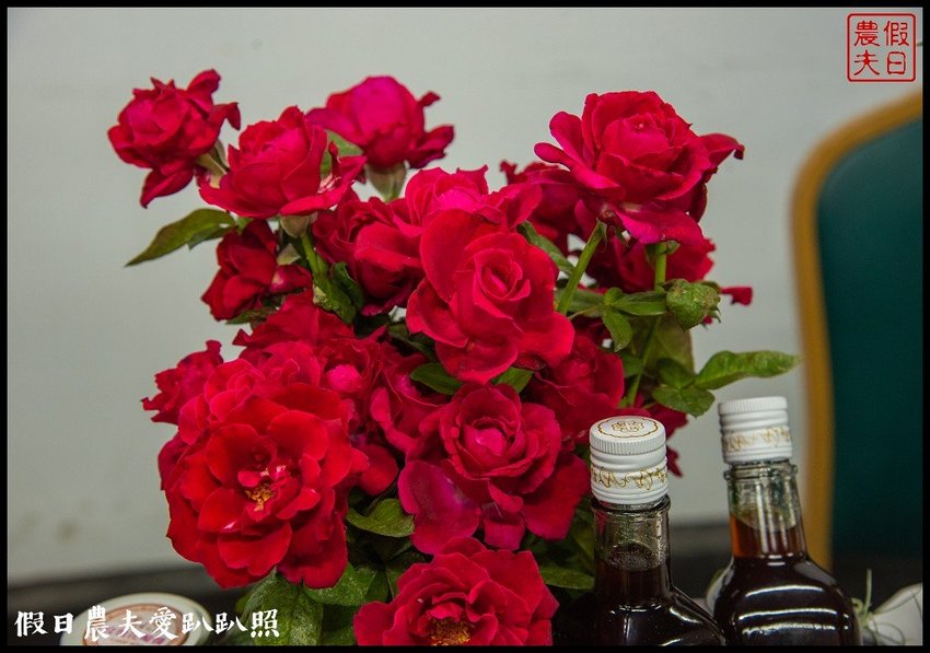 臺灣花卉之美|陽昇園藝×玫開四度食用玫瑰園×臺中區農業改良場 | 假日農夫愛趴趴照