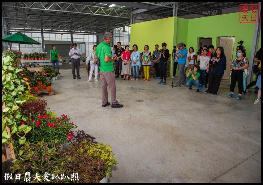 臺灣花卉之美|陽昇園藝×玫開四度食用玫瑰園×臺中區農業改良場 | 假日農夫愛趴趴照