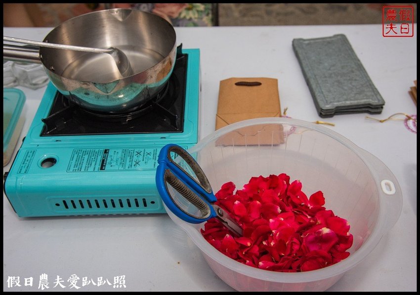 臺灣花卉之美|陽昇園藝×玫開四度食用玫瑰園×臺中區農業改良場 | 假日農夫愛趴趴照