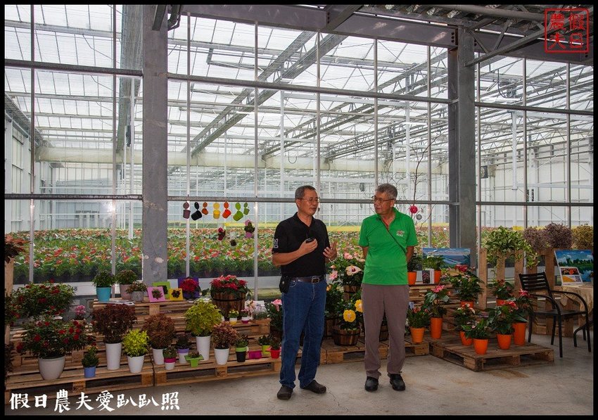 臺灣花卉之美|陽昇園藝×玫開四度食用玫瑰園×臺中區農業改良場 | 假日農夫愛趴趴照