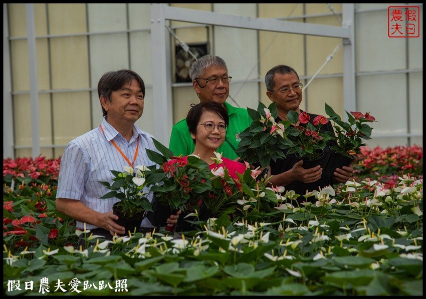 臺灣花卉之美|陽昇園藝×玫開四度食用玫瑰園×臺中區農業改良場 | 假日農夫愛趴趴照
