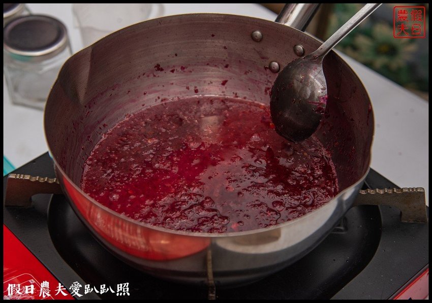 臺灣花卉之美|陽昇園藝×玫開四度食用玫瑰園×臺中區農業改良場 | 假日農夫愛趴趴照