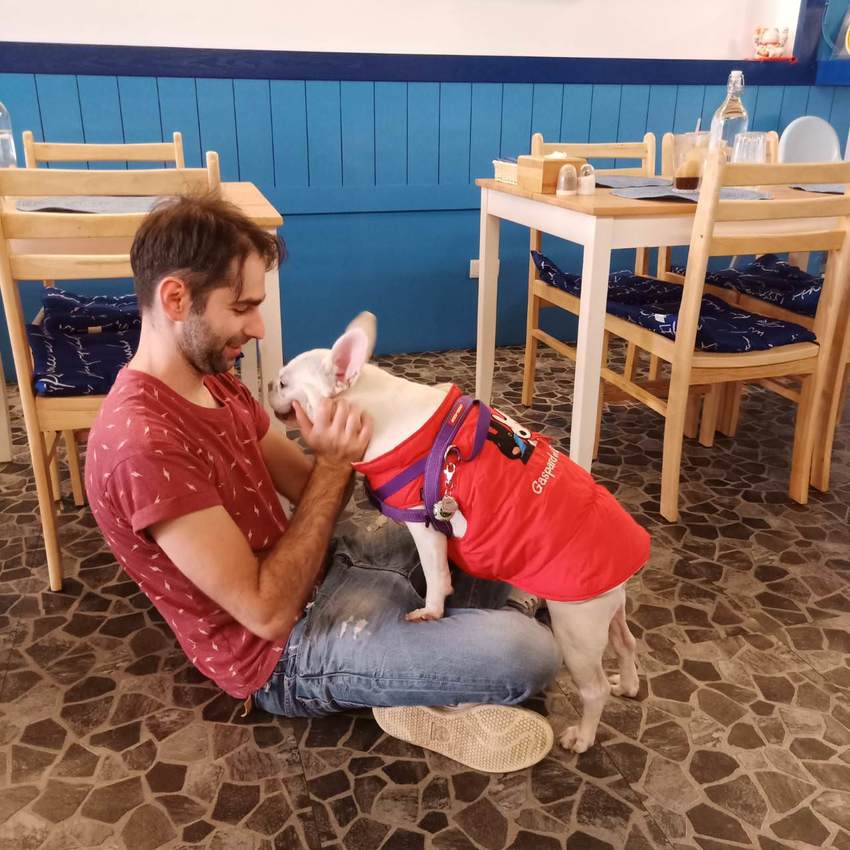 竹北伊亞希臘小館|吃菠菜肉肉增強體力!希臘風盛產季節餐點- 跟著踢小米吃喝玩樂趣