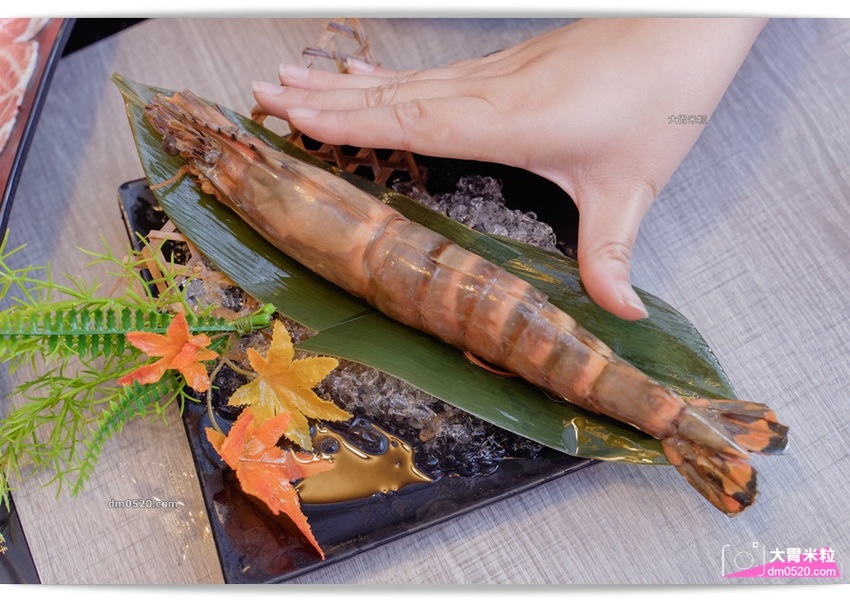 蘆洲火鍋推薦_樂釜樂釜極上鍋物