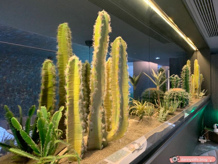 大安區平價小火鍋，便宜價格吃到高級肉品。高質感裝潢、多肉植物佈置～丹尼的吃喝玩樂～