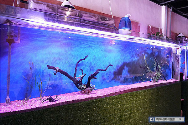 新莊牛排【辛巴原味炭烤牛排】振興加碼送和牛/用三倍券搶好康/歡樂吧自助無限