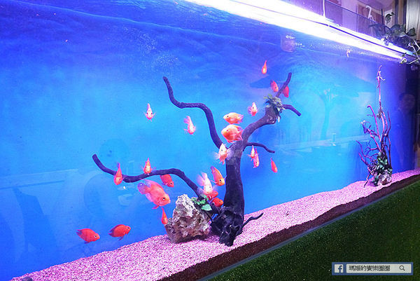 新莊牛排【辛巴原味炭烤牛排】振興加碼送和牛/用三倍券搶好康/歡樂吧自助無限