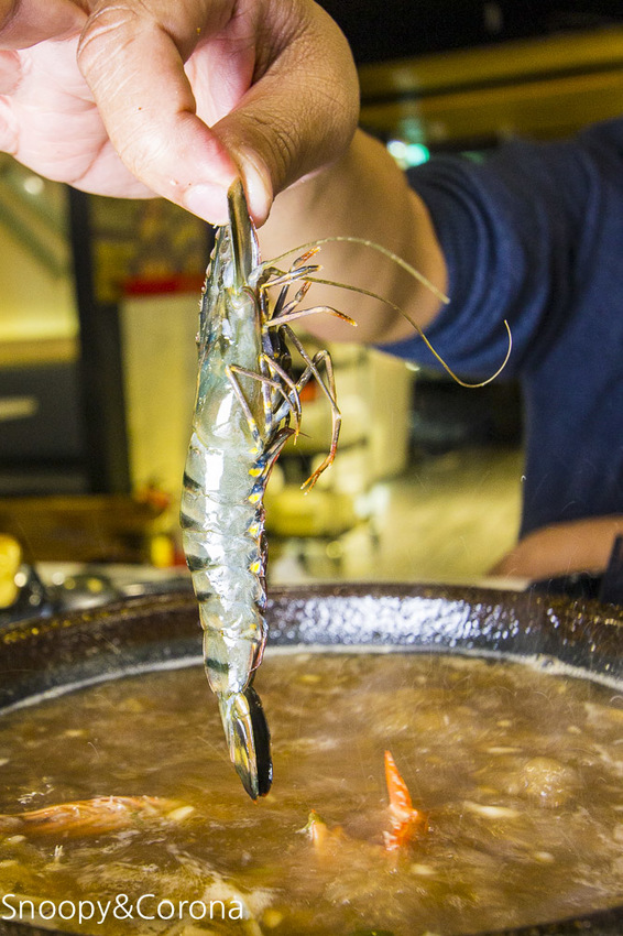 【台北美食】中山區火鍋推薦｜中山區聚餐推薦｜丼賞和食日本料理&嗨蝦蝦三杯醉蝦石頭火鍋林森旗艦店～全台第一間三杯醉蝦石頭火鍋的第一品牌