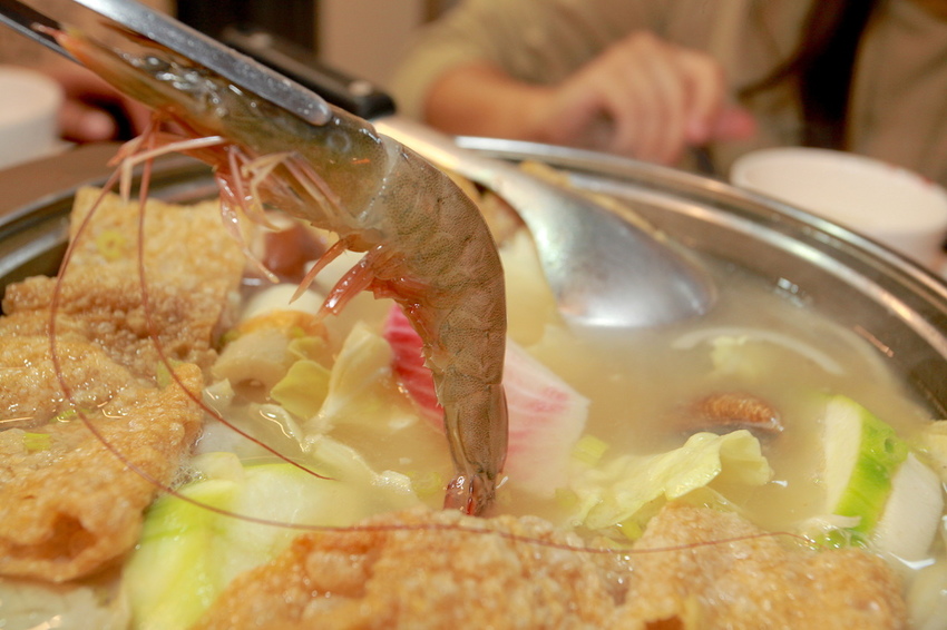 IMG_6313.jpg IMG_6313.jpg