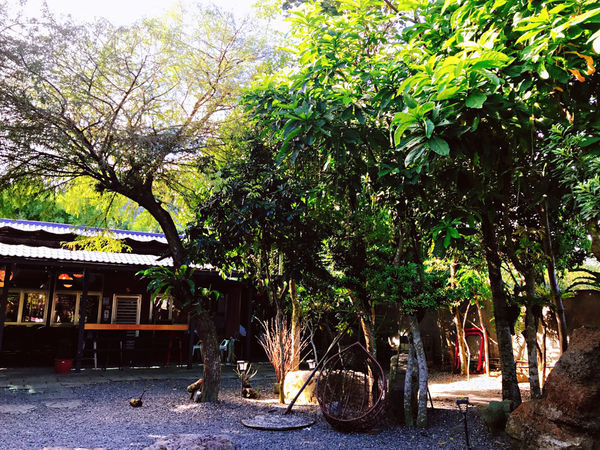 IMG_0398.JPG IMG_0398.JPG