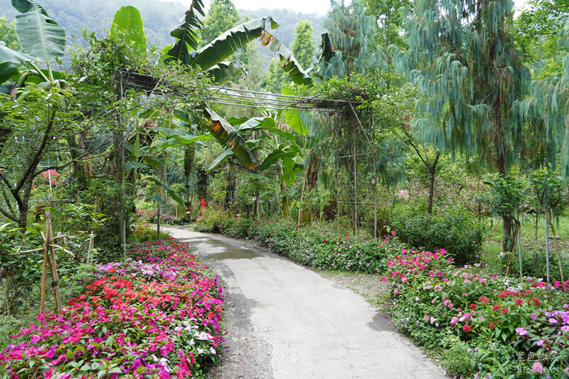 楓樺台一渡假村(台一生態休閒農場)全台唯一花神廟,40000坪花園綠地,四季花卉美不勝收~森林戲水,泳池沙池,親