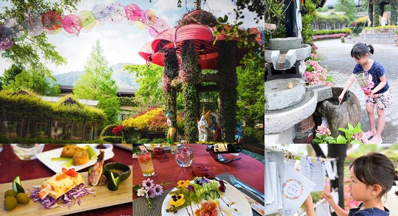 楓樺台一渡假村(台一生態休閒農場)全台唯一花神廟,40000坪花園綠地,四季花卉美不勝收~森林戲水,泳池沙池,親