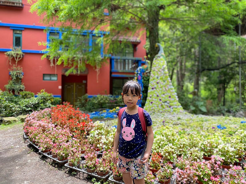 楓樺台一渡假村(台一生態休閒農場)全台唯一花神廟,40000坪花園綠地,四季花卉美不勝收~森林戲水,泳池沙池,親