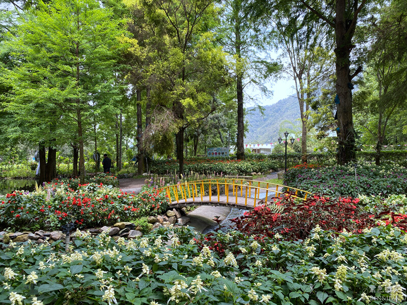 楓樺台一渡假村(台一生態休閒農場)全台唯一花神廟,40000坪花園綠地,四季花卉美不勝收~森林戲水,泳池沙池,親