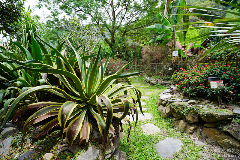 楓樺台一渡假村(台一生態休閒農場)全台唯一花神廟,40000坪花園綠地,四季花卉美不勝收~森林戲水,泳池沙池,親