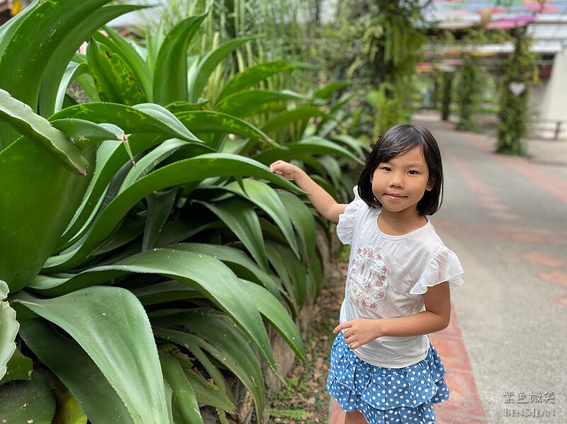 楓樺台一渡假村(台一生態休閒農場)全台唯一花神廟,40000坪花園綠地,四季花卉美不勝收~森林戲水,泳池沙池,親