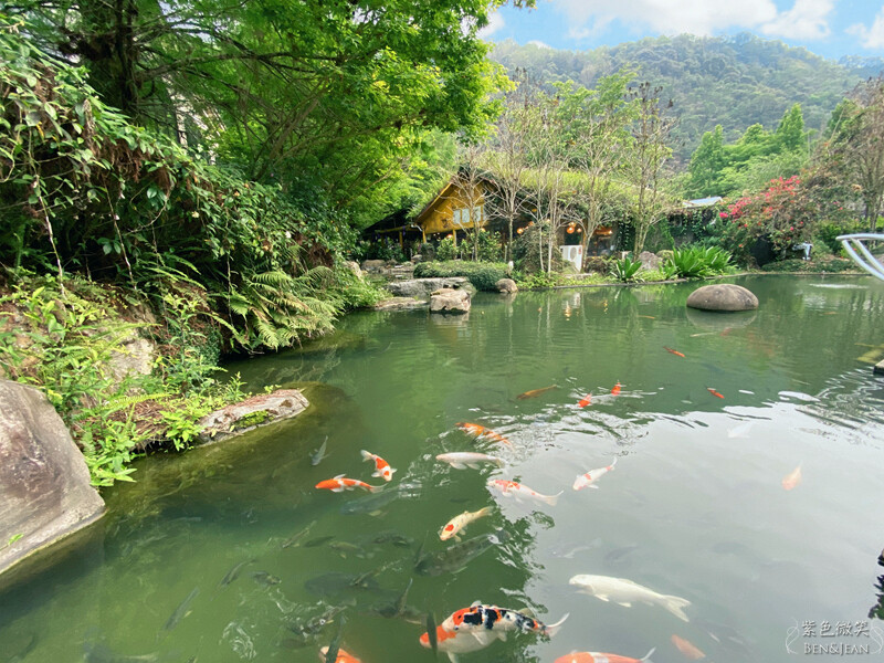 楓樺台一渡假村(台一生態休閒農場)全台唯一花神廟,40000坪花園綠地,四季花卉美不勝收~森林戲水,泳池沙池,親
