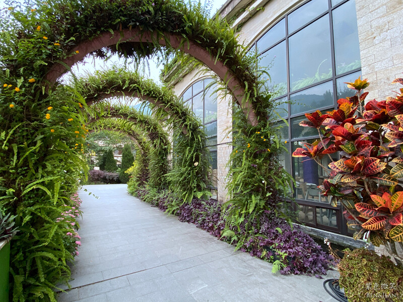 楓樺台一渡假村(台一生態休閒農場)全台唯一花神廟,40000坪花園綠地,四季花卉美不勝收~森林戲水,泳池沙池,親