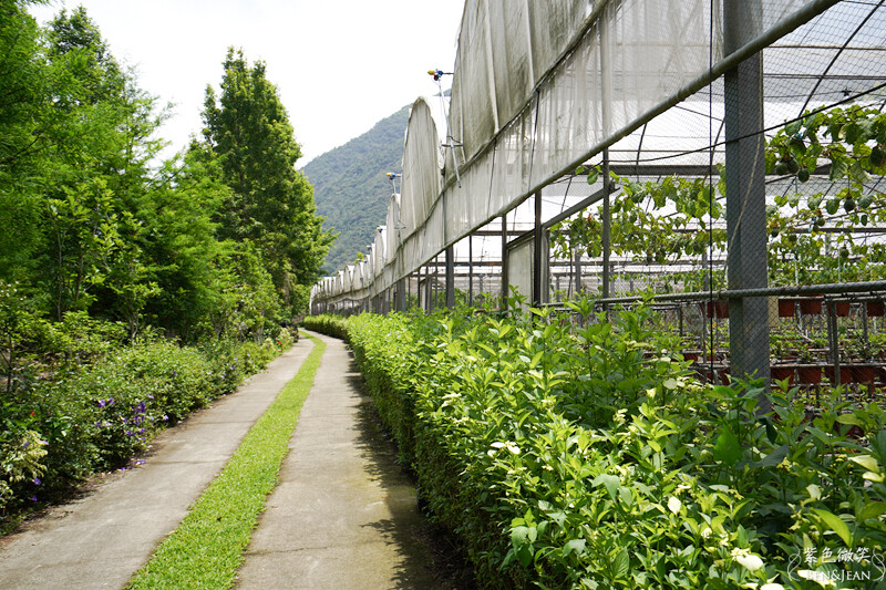 楓樺台一渡假村(台一生態休閒農場)全台唯一花神廟,40000坪花園綠地,四季花卉美不勝收~森林戲水,泳池沙池,親