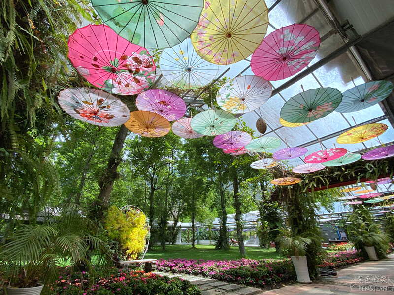 楓樺台一渡假村(台一生態休閒農場)全台唯一花神廟,40000坪花園綠地,四季花卉美不勝收~森林戲水,泳池沙池,親