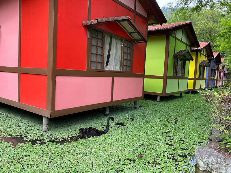 楓樺台一渡假村(台一生態休閒農場)全台唯一花神廟,40000坪花園綠地,四季花卉美不勝收~森林戲水,泳池沙池,親