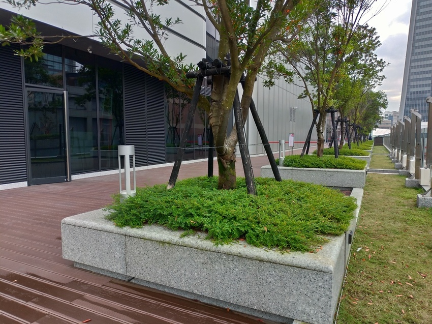 P_20191226_112545_vHDR_Auto_HP.jpg P_20191226_112545_vHDR_Auto_HP.jpg