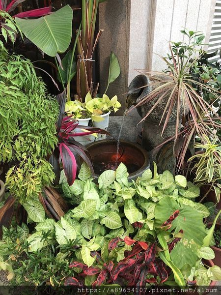 E7D41FE0-0064-4EF6-BFC8-01C393A9CDD4.jpeg E7D41FE0-0064-4EF6-BFC8-01C393A9CDD4.jpeg