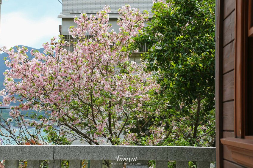 【淡水景點】淡水日本警官宿舍，日式和風木造建築，來一場歷史古蹟巡禮！