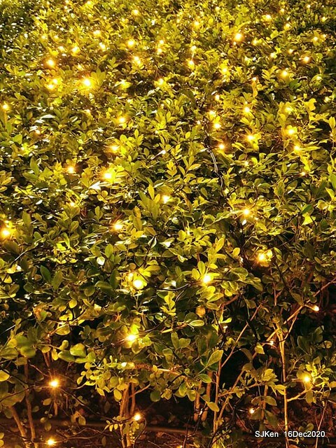 Christmas street decoration of Taipei 101, Taipei,Tawan,SJKen,Dec16,2020.