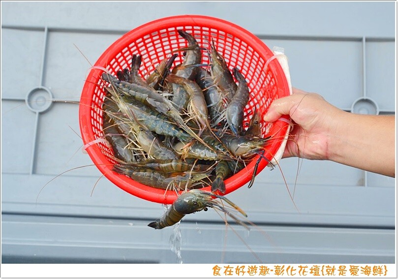 就是愛海鮮-海產肉品批發市集，團聚燒烤、料理食材都在這，另有中秋烤肉套組現正熱賣中，趕緊訂購起來！