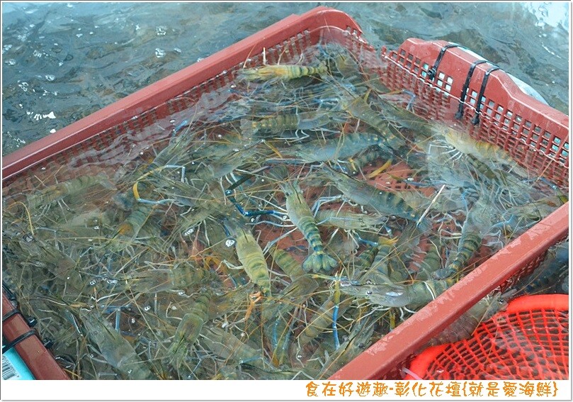 就是愛海鮮-海產肉品批發市集，團聚燒烤、料理食材都在這，另有中秋烤肉套組現正熱賣中，趕緊訂購起來！