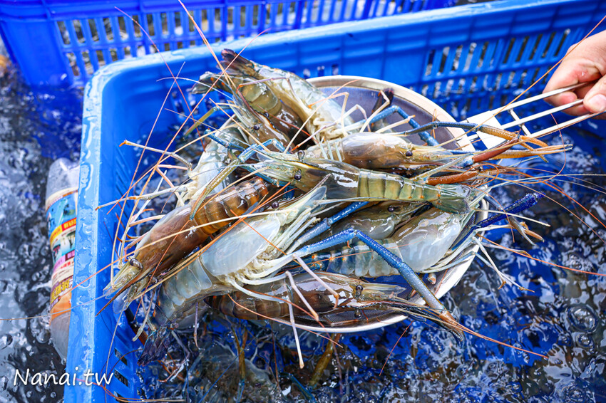 花壇這間水產超好買!活體泰國蝦,布袋鮮蚵,夯肉套餐組合,千種商品任你挑,優惠時段買一送一必搶