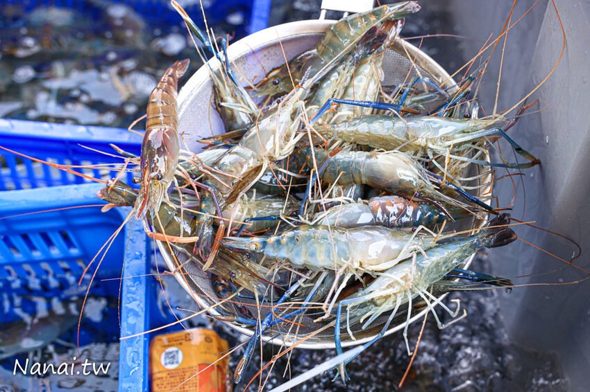 花壇這間水產超好買!活體泰國蝦,布袋鮮蚵,夯肉套餐組合,千種商品任你挑,優惠時段買一送一必搶