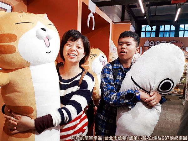 987動感樂園12-白爛貓與那條魚長型抱枕.jpg