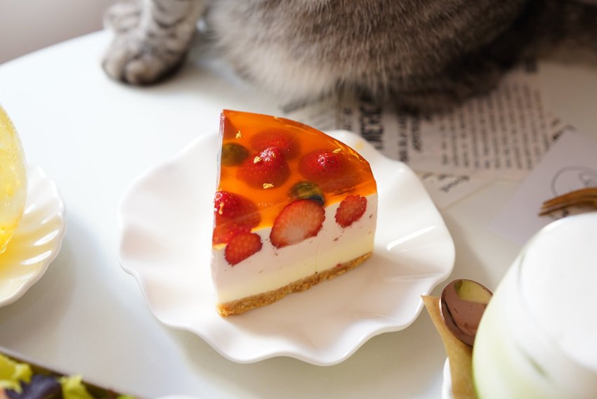 新竹巷弄韓系咖啡廳『三隻貓』裏頭有四隻可愛療癒的貓咪陪著你用餐！(新竹早午餐/新竹下午茶)