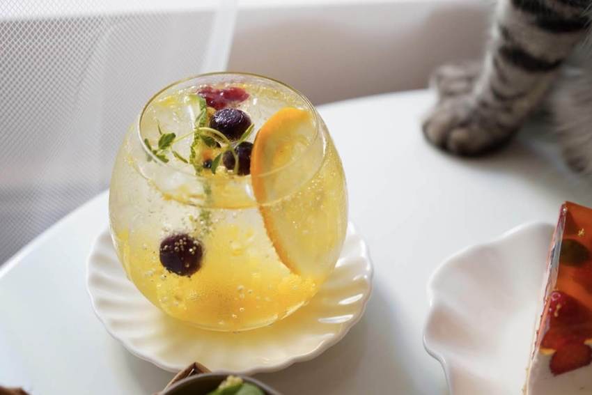 新竹巷弄韓系咖啡廳『三隻貓』裏頭有四隻可愛療癒的貓咪陪著你用餐！(新竹早午餐/新竹下午茶)