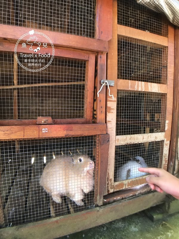 與天然環境共處的時光,「一畝田」親子露營區,一起野放趣! @魚兒 x 牽手明太子的「視」界旅行 與天然環境共處的時光,「一畝田」親子露營區,一起野放趣! @魚兒 x 牽手明太子的「視」界旅行