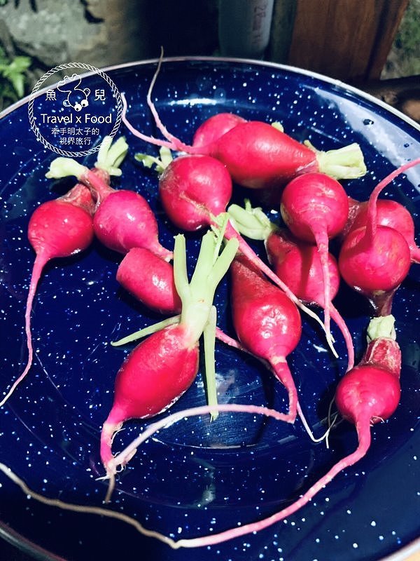 與天然環境共處的時光,「一畝田」親子露營區,一起野放趣! @魚兒 x 牽手明太子的「視」界旅行 與天然環境共處的時光,「一畝田」親子露營區,一起野放趣! @魚兒 x 牽手明太子的「視」界旅行