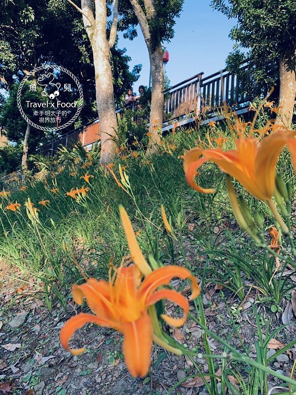 與天然環境共處的時光,「一畝田」親子露營區,一起野放趣! @魚兒 x 牽手明太子的「視」界旅行 與天然環境共處的時光,「一畝田」親子露營區,一起野放趣! @魚兒 x 牽手明太子的「視」界旅行