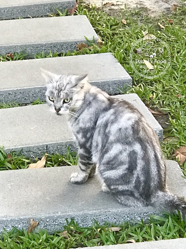 與天然環境共處的時光,「一畝田」親子露營區,一起野放趣! @魚兒 x 牽手明太子的「視」界旅行 與天然環境共處的時光,「一畝田」親子露營區,一起野放趣! @魚兒 x 牽手明太子的「視」界旅行