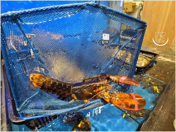 土狗樂市togo market-內壢家樂福店 (42).jpg