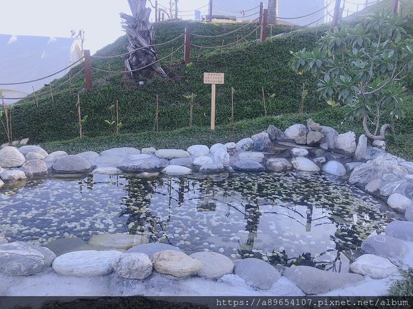 64968B64-4353-4435-B119-134F48F8AE78.jpeg 64968B64-4353-4435-B119-134F48F8AE78.jpeg